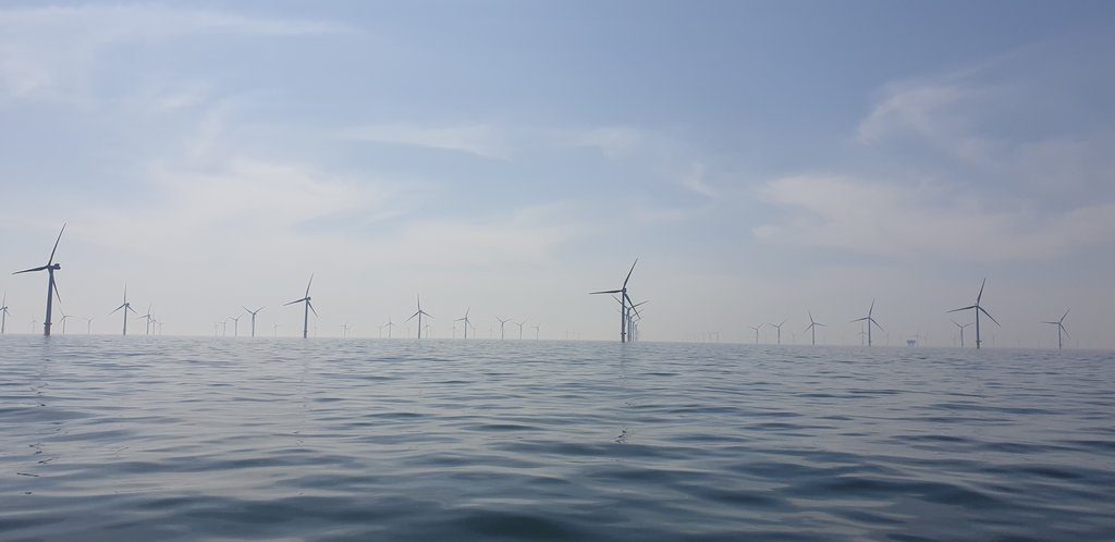 Wind turbines off the coast of Brighton